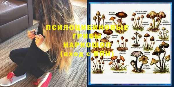 стаф Баксан