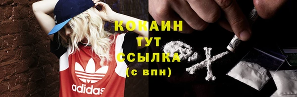 стаф Балахна