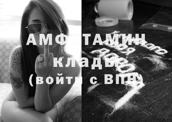 стаф Балахна