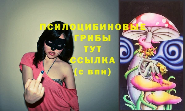 стаф Баксан