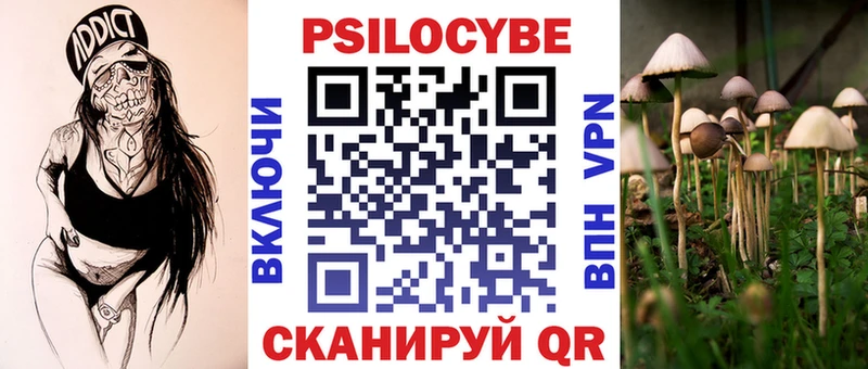 Псилоцибиновые грибы прущие грибы  Лесной 