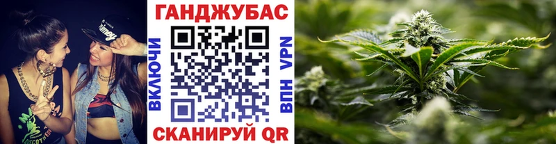 Канабис SATIVA & INDICA  как найти наркотики  Лесной 